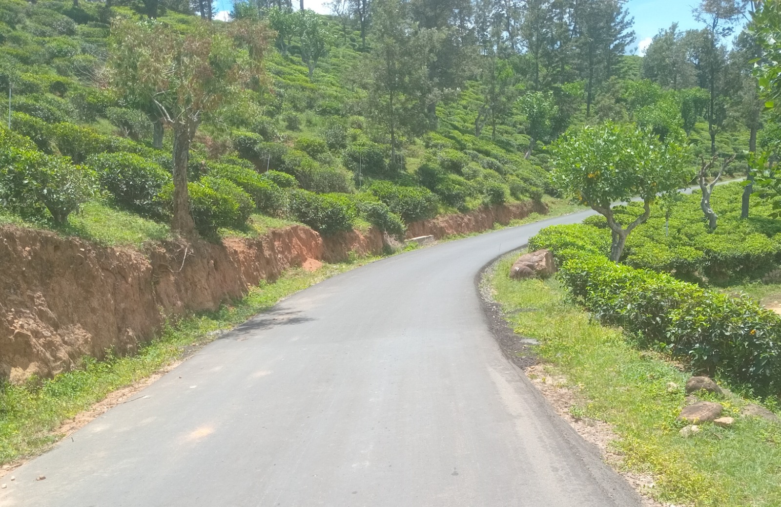 Second Integrated Road Investment Program - Rehabilitation, Improvement and Maintenance of 23.96 Km Rural Roads in Badulla District - Image 12
